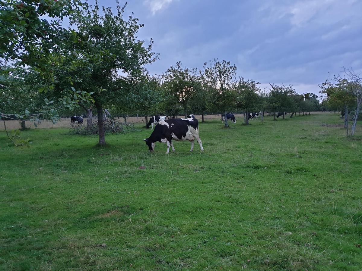 מלון Équemauville La Ferme Chevalier מראה חיצוני תמונה